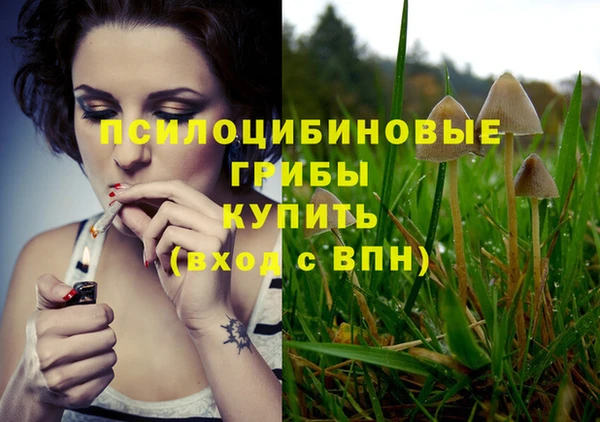 ECSTASY Горняк