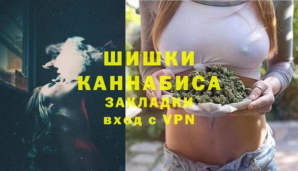 ECSTASY Горняк