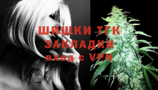 дживик Гусев