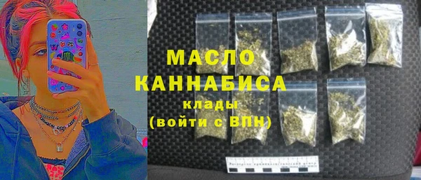 ECSTASY Горняк