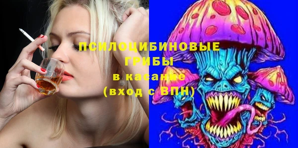 дживик Гусев