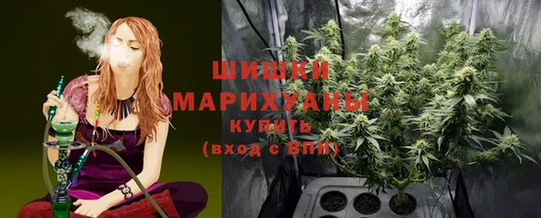 дживик Гусев