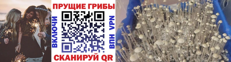 Псилоцибиновые грибы MAGIC MUSHROOMS  Купить  Кизел 